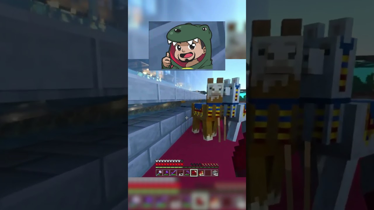 What Are You Guys Doing?
