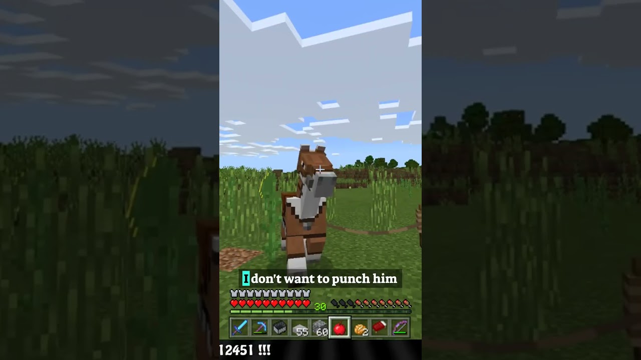 Feeding Horses Is Hard