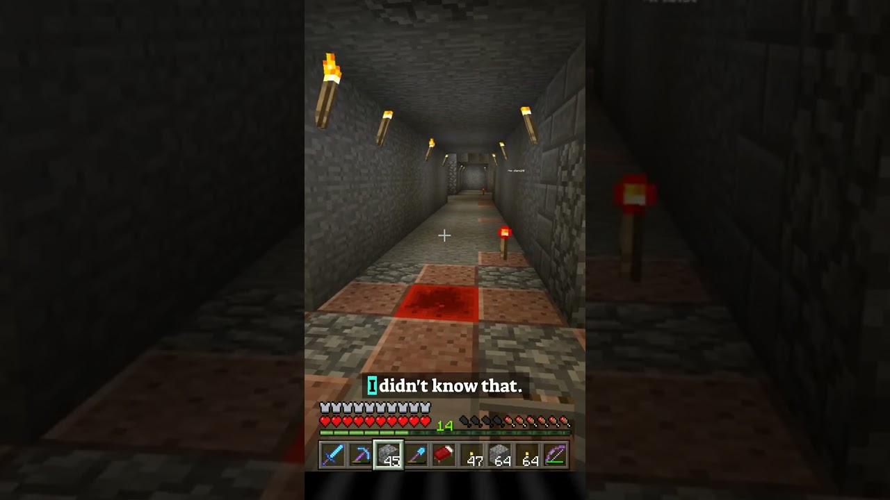 We Have Too Much Rotten Flesh