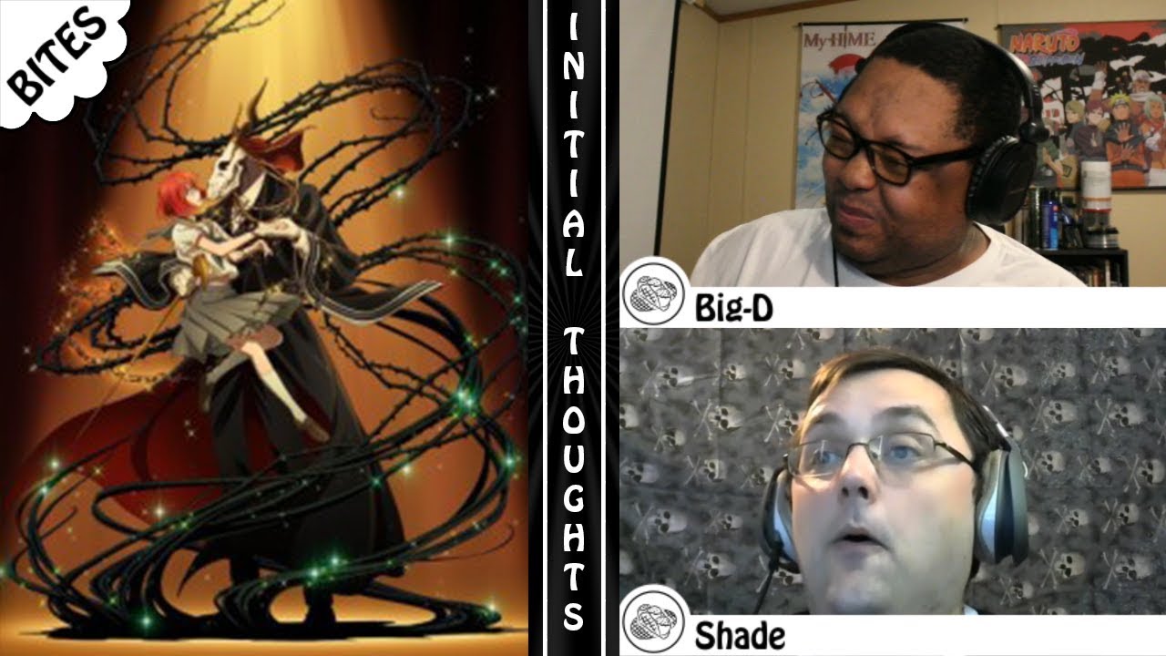 Initial Thoughts on The Ancient Magus’ Bride | TacoYaki Bites