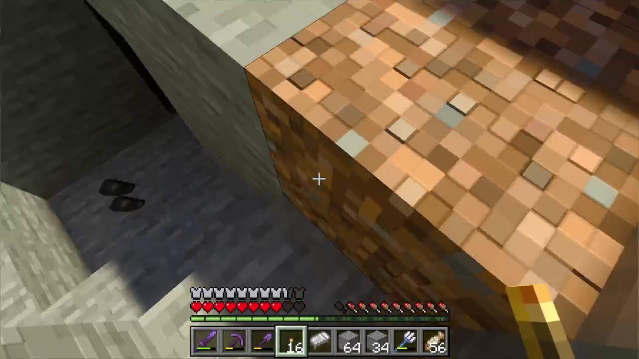 Did You See The Minecraft Movie?
