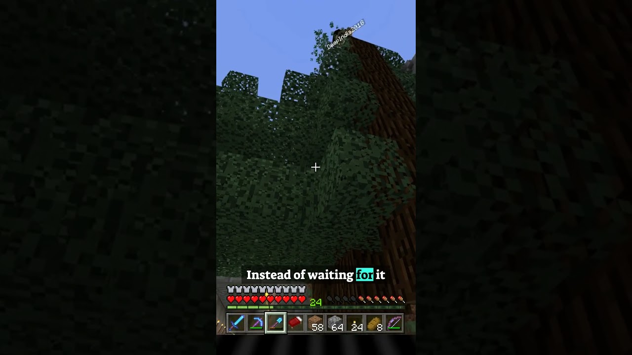 Do You Replant Trees?