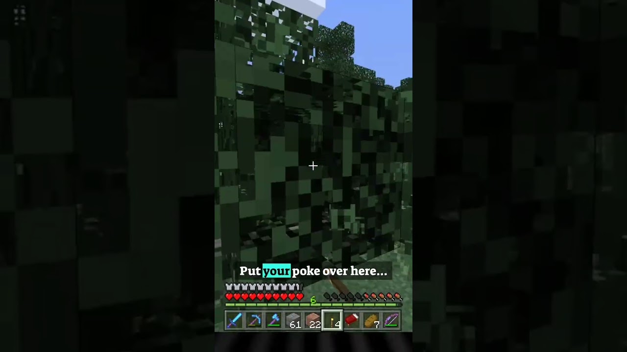 Hokey Pokey Deforestation