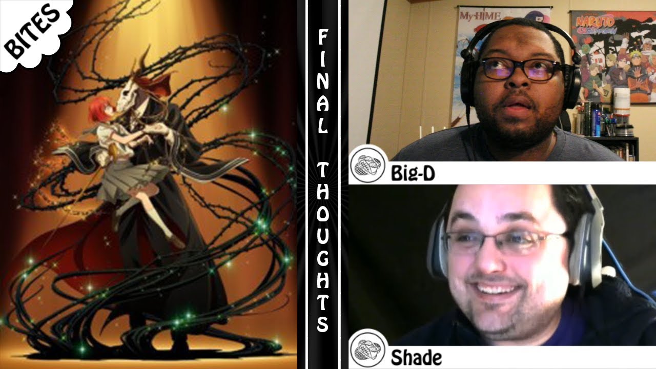 Final Thoughts on The Ancient Magus’ Bride