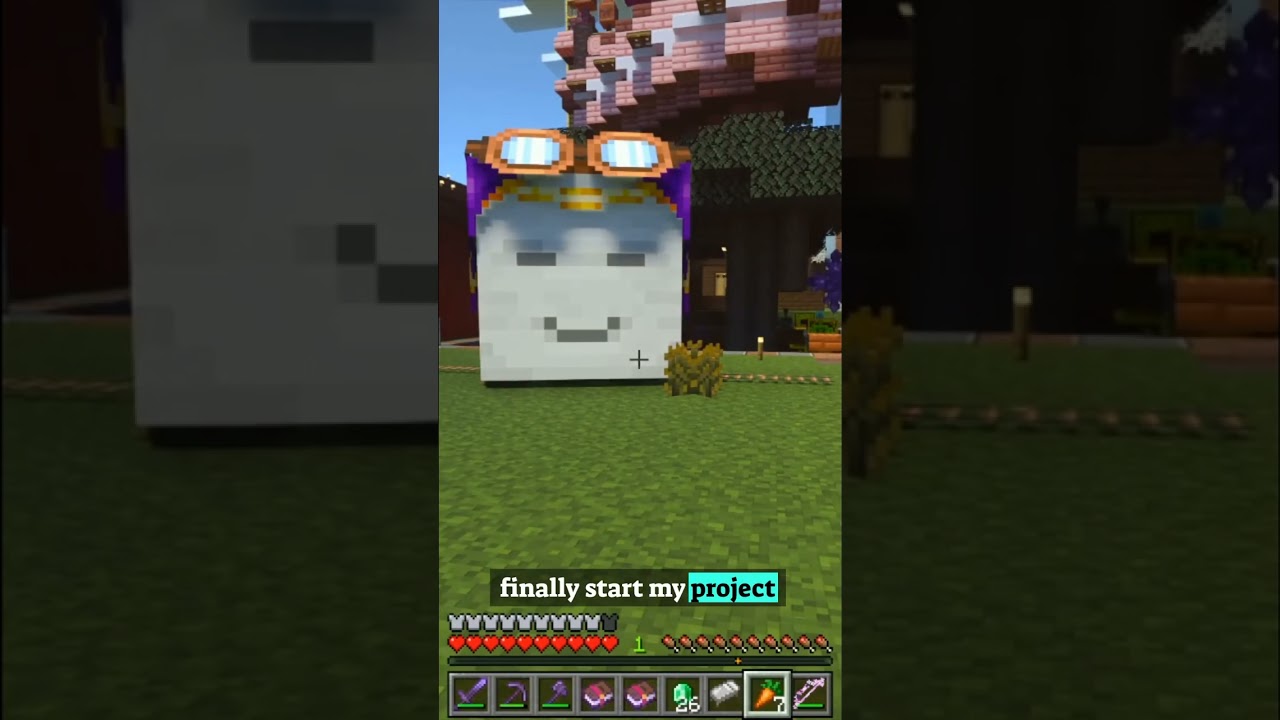 Poof Looks So Happy in His Minecart.