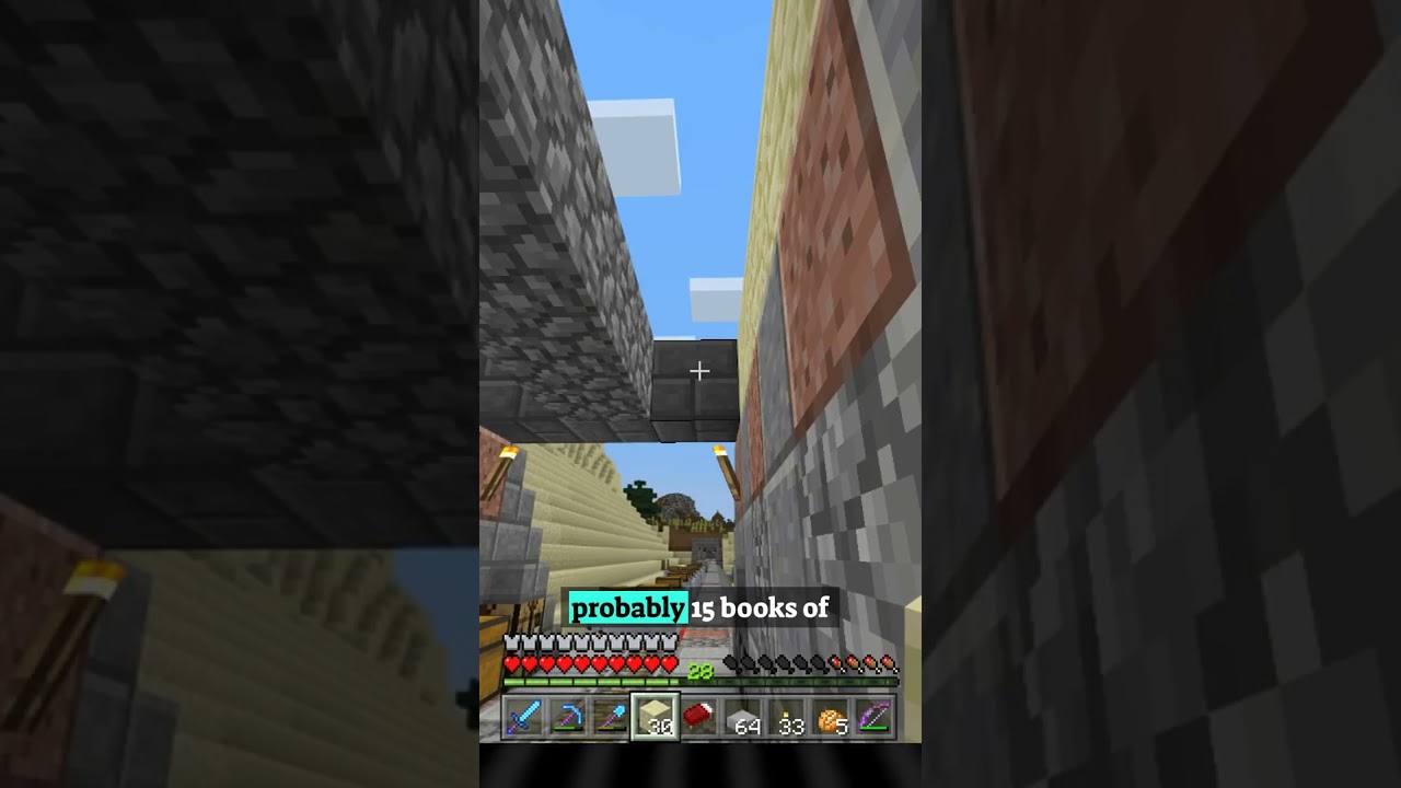 What Is the Most Expensive Minecraft Item You Have?