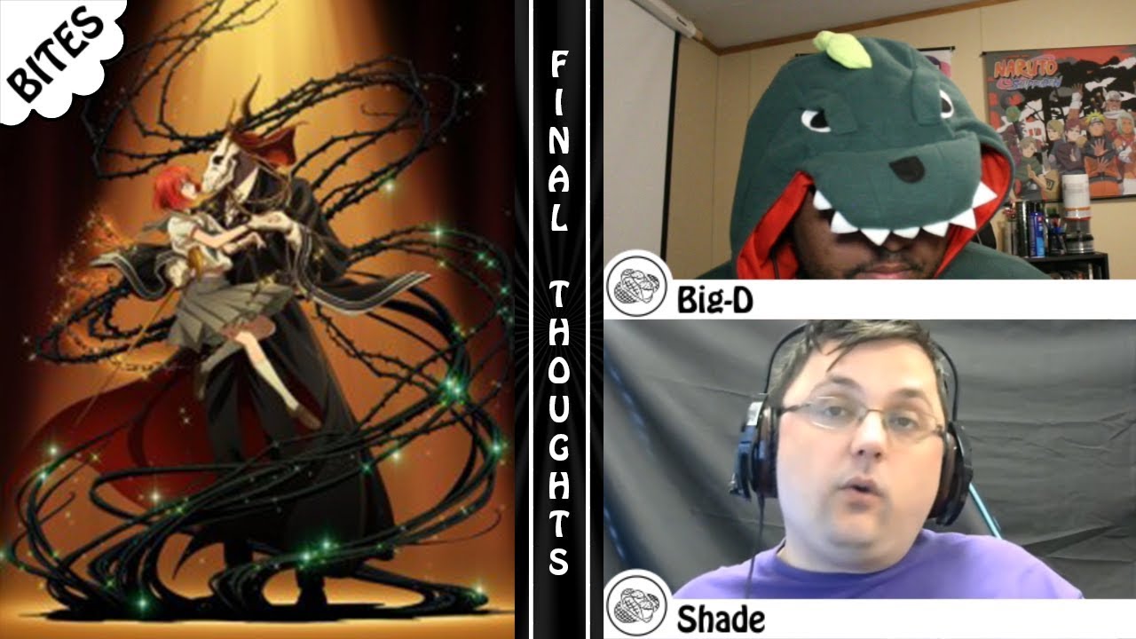 Final Thoughts on The Ancient Magus’ Bride