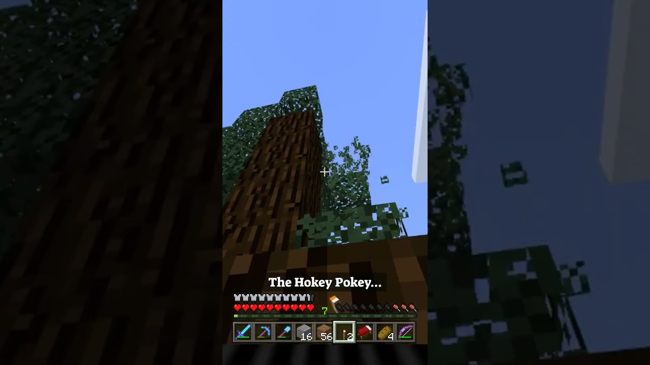 The Hokiest of the Pokeys